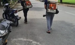 Dịch vụ diệt côn trùng tại Thuận An Bình Dương