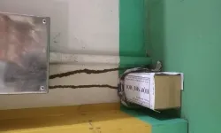Diệt Mối Tận gốc Hóc Môn - công ty diệt mối thành long