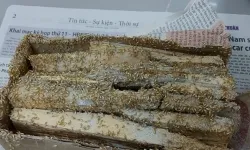 Địa chỉ diệt mối Tp HCM