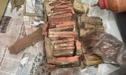Diệt mối tận gốc tại Quảng Ngãi