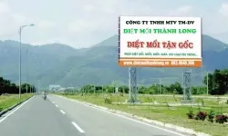 DIỆT MỐI TẬN GỐC TẠI BÌNH THẠNH