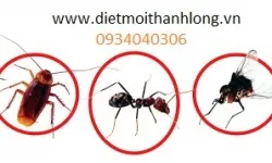 DIỆT CÔN TRÙNG TẠI NHA TRANG - CÔNG TY DIỆT MỐI THÀNH LONG