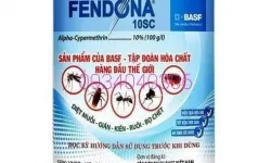 PHÒNG CHỐNG MUỖI VÀO MÙA MƯA