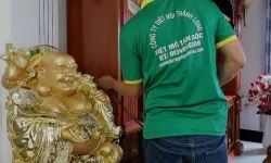diệt mối ở quận 2 -Tp Thủ Đức
