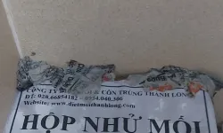 Dịch  vụ  diệt  mối  tận  gốc  tại  thành phố  thủ đức