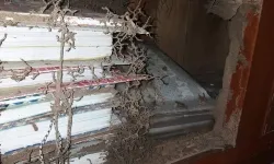 Diệt Mối Tận Gốc TP.HCM