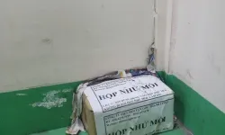 Dịch vụ diệt mối quận 9 - tp Thủ Đức