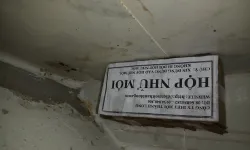 Diệt mối tận gốc tại huyện Diễn Châu - Nghệ An