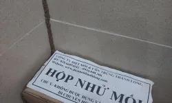 Diệt Mối Tận Gốc Tây Ninh: Giải Pháp Hiệu Quả Cho Vấn Đề Mối Trong Nhà
