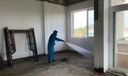 Diệt mối Tận Gốc Tp Vinh - Nghệ An