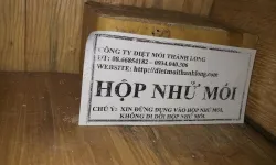 Diệt Mối Tận Gốc Quảng Ngãi - Cty diệt mối thành long