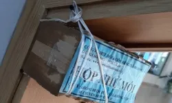 Dịch vụ diệt mối tại Gia Lai