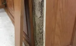 Diệt mối tại phú Nhuận