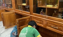 Dịch Vụ Diệt Mối Tại Bến Lức Long An